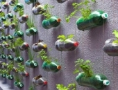 Những tác phẩm tái chế tuyệt vời từ chai nhựa PET