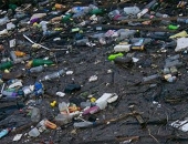 Thế giới đang tìm cách không sử dụng nhựa